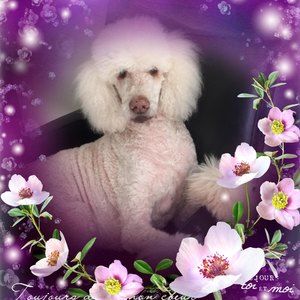 Meet your Posher, Cindy